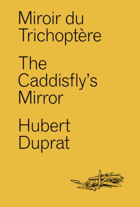 Miroir du Trichoptère d'Hubert Duprat